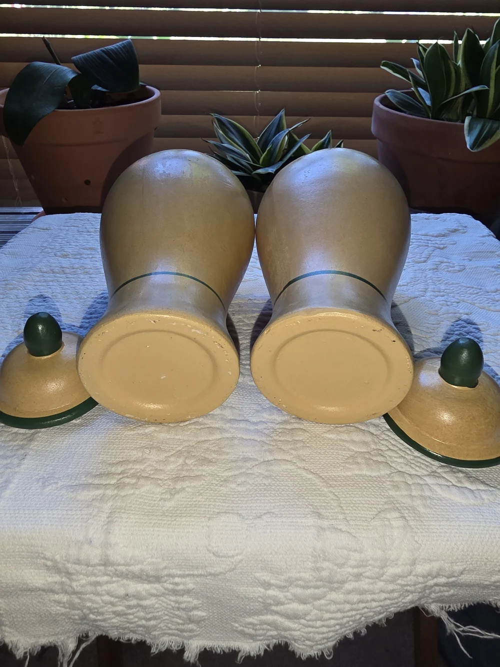 Decorative Seashell Lidded Jar Vases- Home Accent